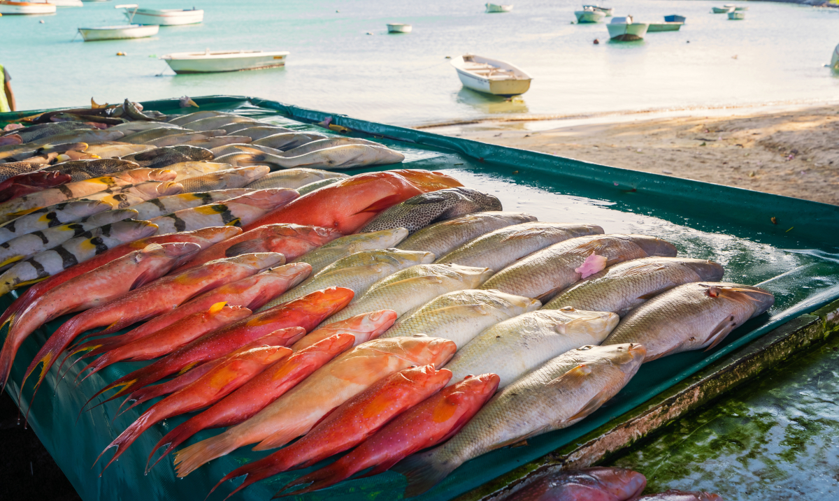 Fisch aus Übersee
