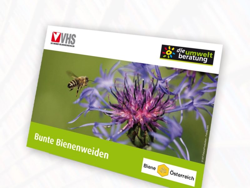 Bienenweiden_Poster_Cover_web