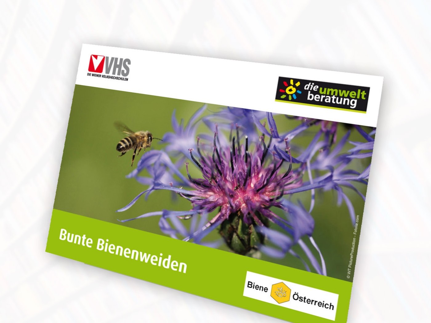 Bienenweiden_Poster_Cover_web