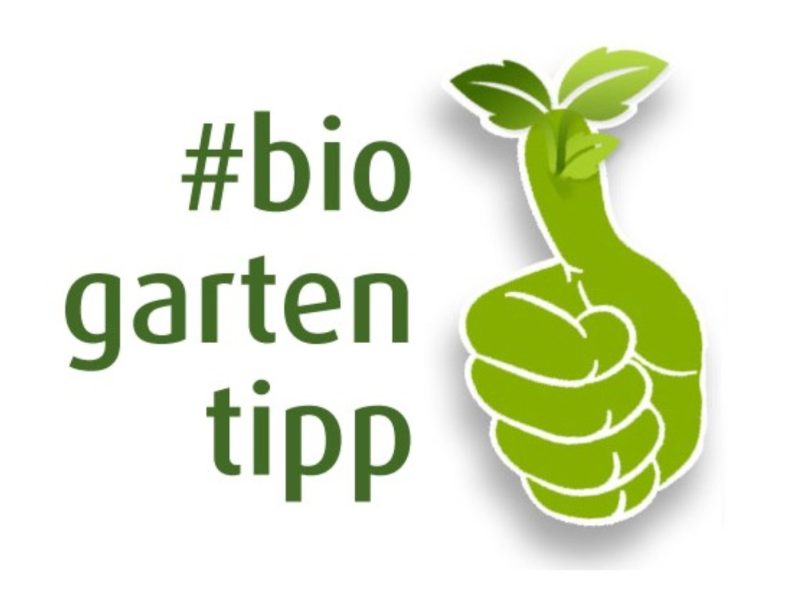 BioGartenTIPP_Daumen-rechts
