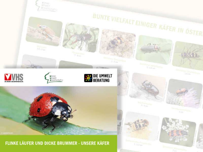 Cover des Posters