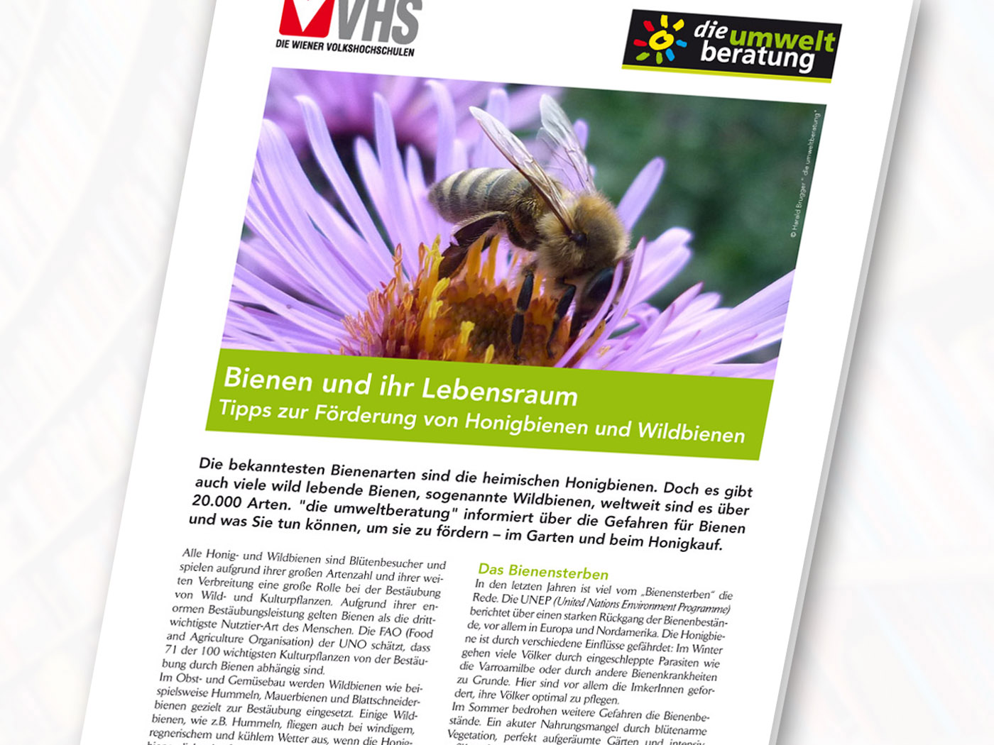Cover_bienen