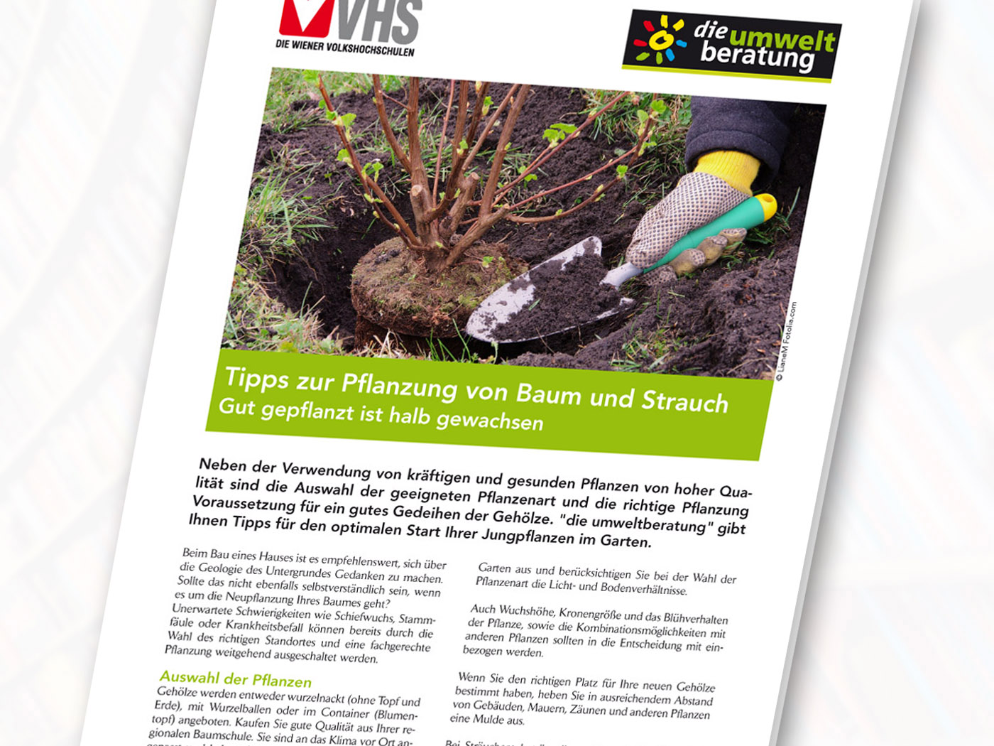 Cover_pflanzungstipps