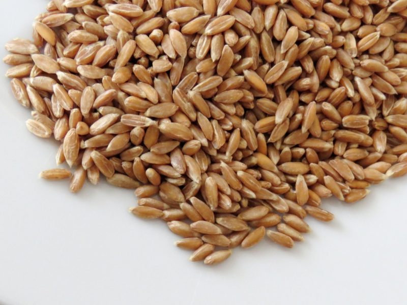 Dinkel