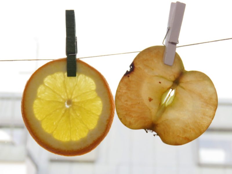 Duft-Obst-Kette__monika-Kupka_die-umweltberatung.JPG