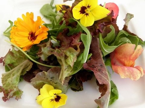 Blütensalat
