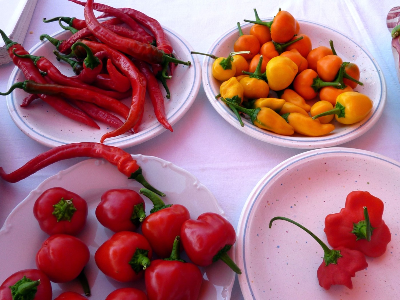 Chilischoten