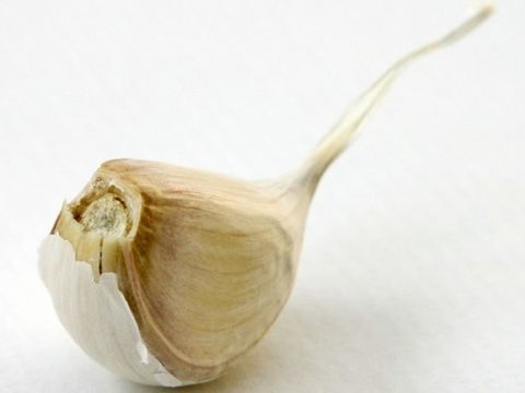 Knoblauch