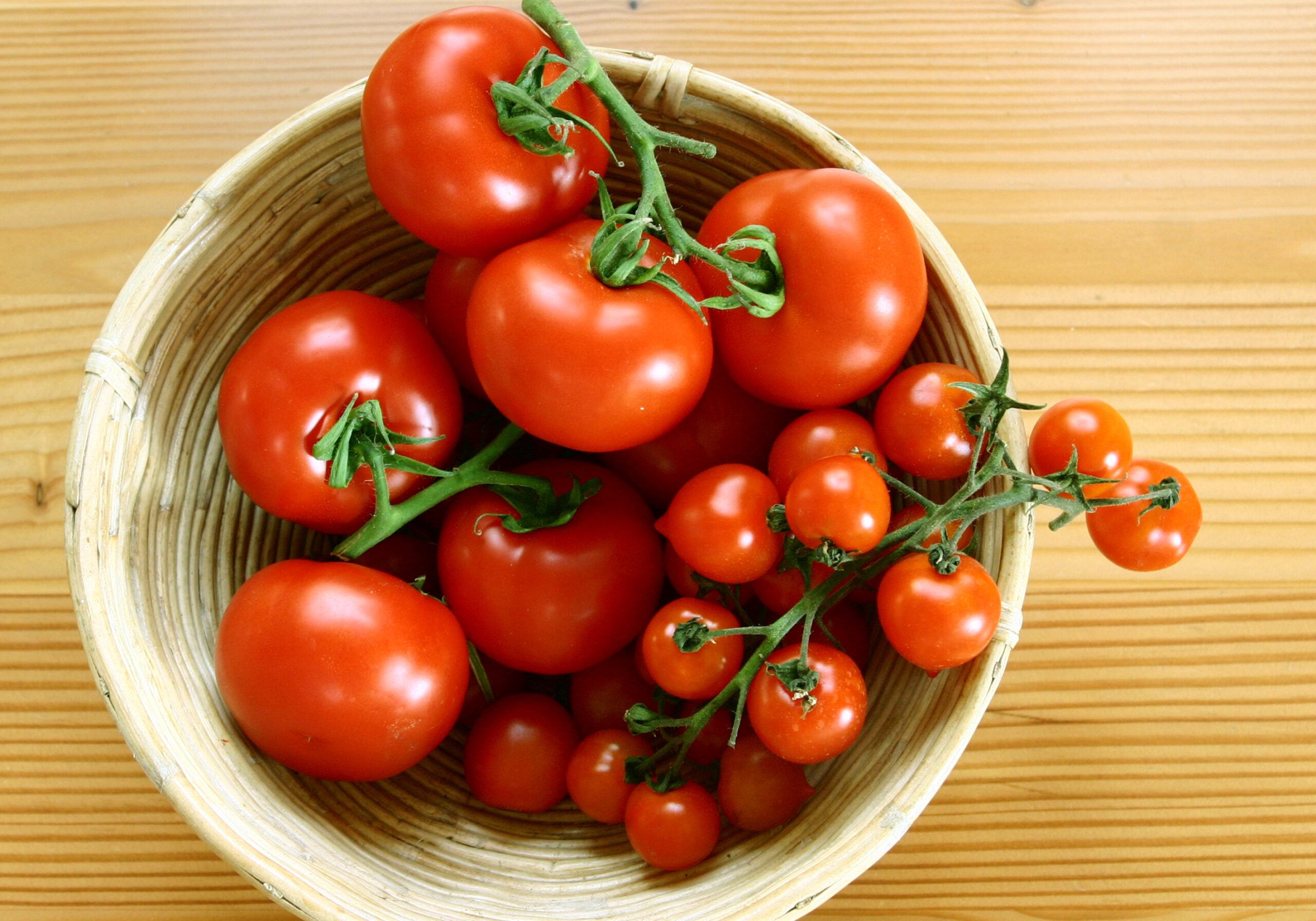 Tomaten