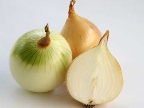 Zwiebel