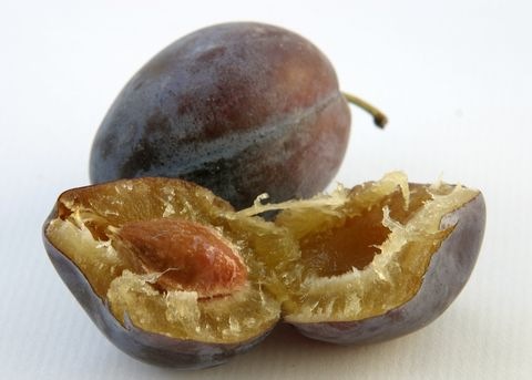 Zwetschken