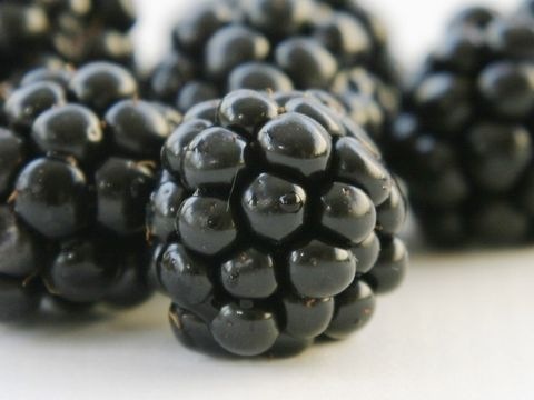 Brombeeren
