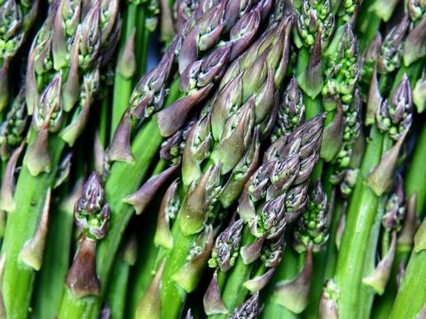 Spargel