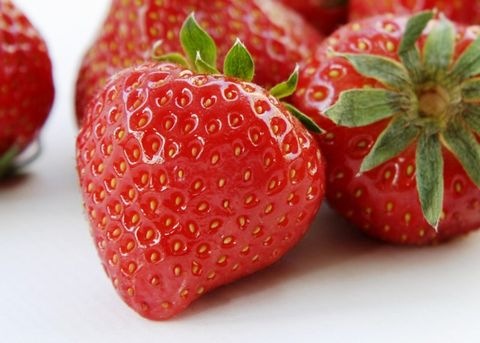 Erdbeeren
