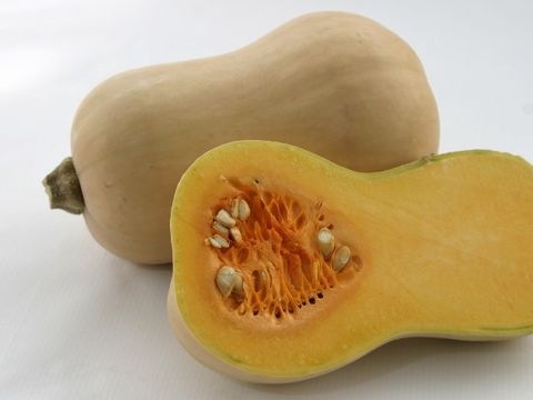 Kürbis