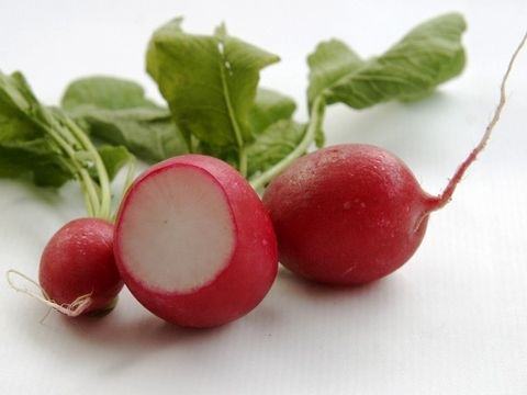 Radieschen