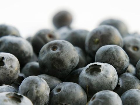 Heidelbeeren