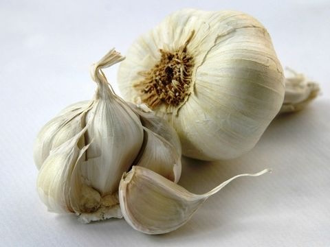 Knoblauch