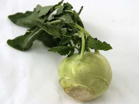 Kohlrabi