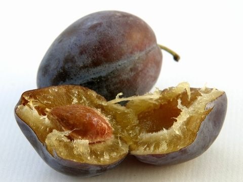 Zwetschken