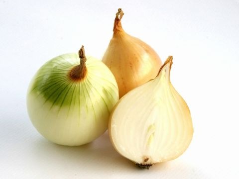 Zwiebel