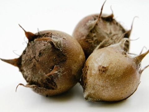 Mispeln