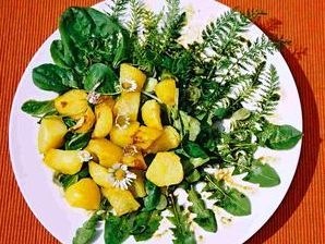 Löwenzahnsalat mit Erdäpfelcroutons