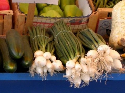 Jungzwiebel