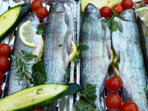 Forellenfilets mit Kräutern