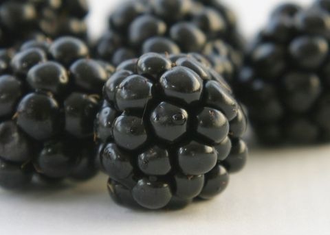 Brombeeren