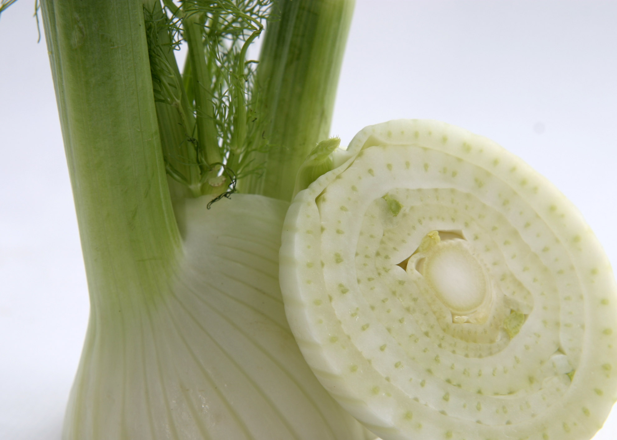 Fenchel