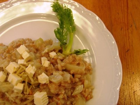 Fenchelrisotto