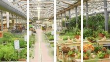 Gartencenter mit Produkten