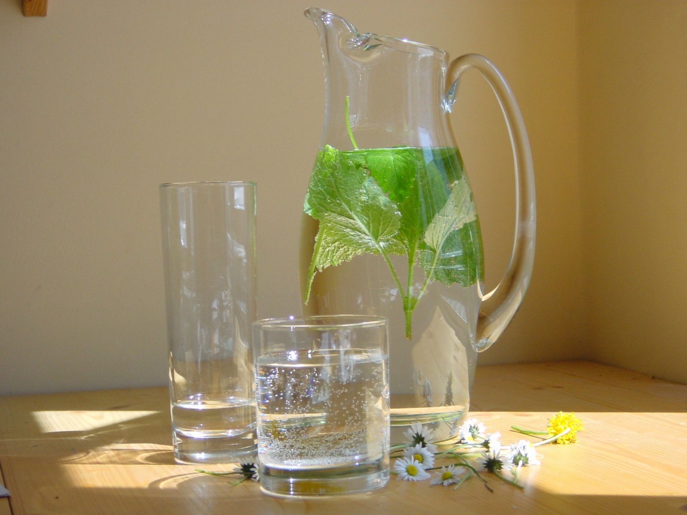 Wasserkaraffe