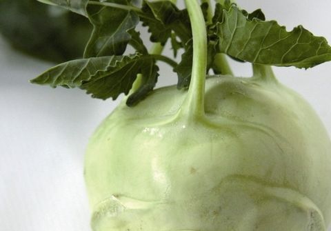 Kohlrabi