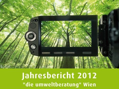 Jahresbericht-2012