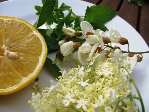 Kräutersirup