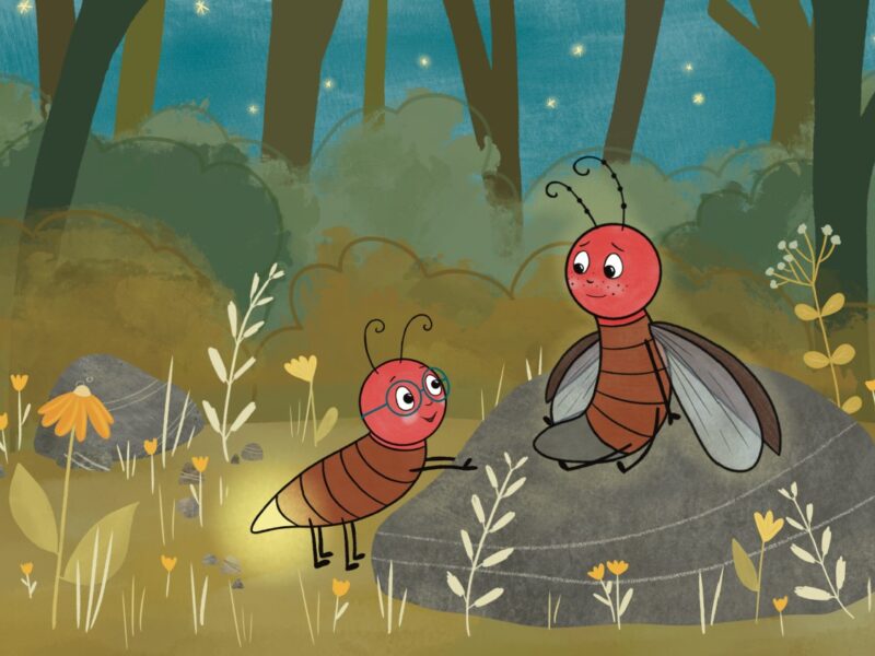Illustration von zwei Glühwürmchen