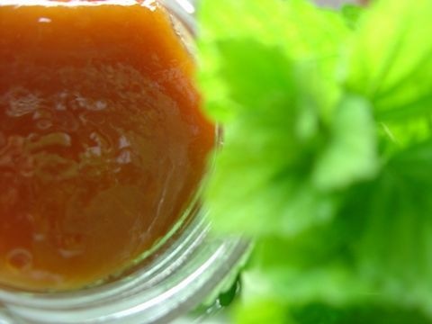 Marillenmarmelade mit Zitronenmelisse