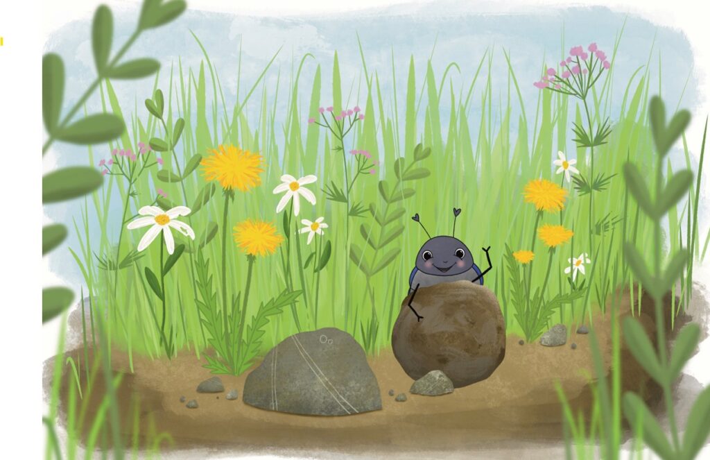 Illustration Milli Mistkäfer