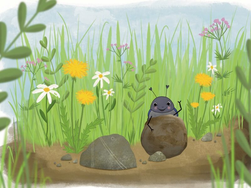 Illustration Milli Mistkäfer