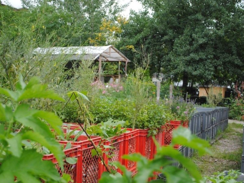 Mobiler Garten