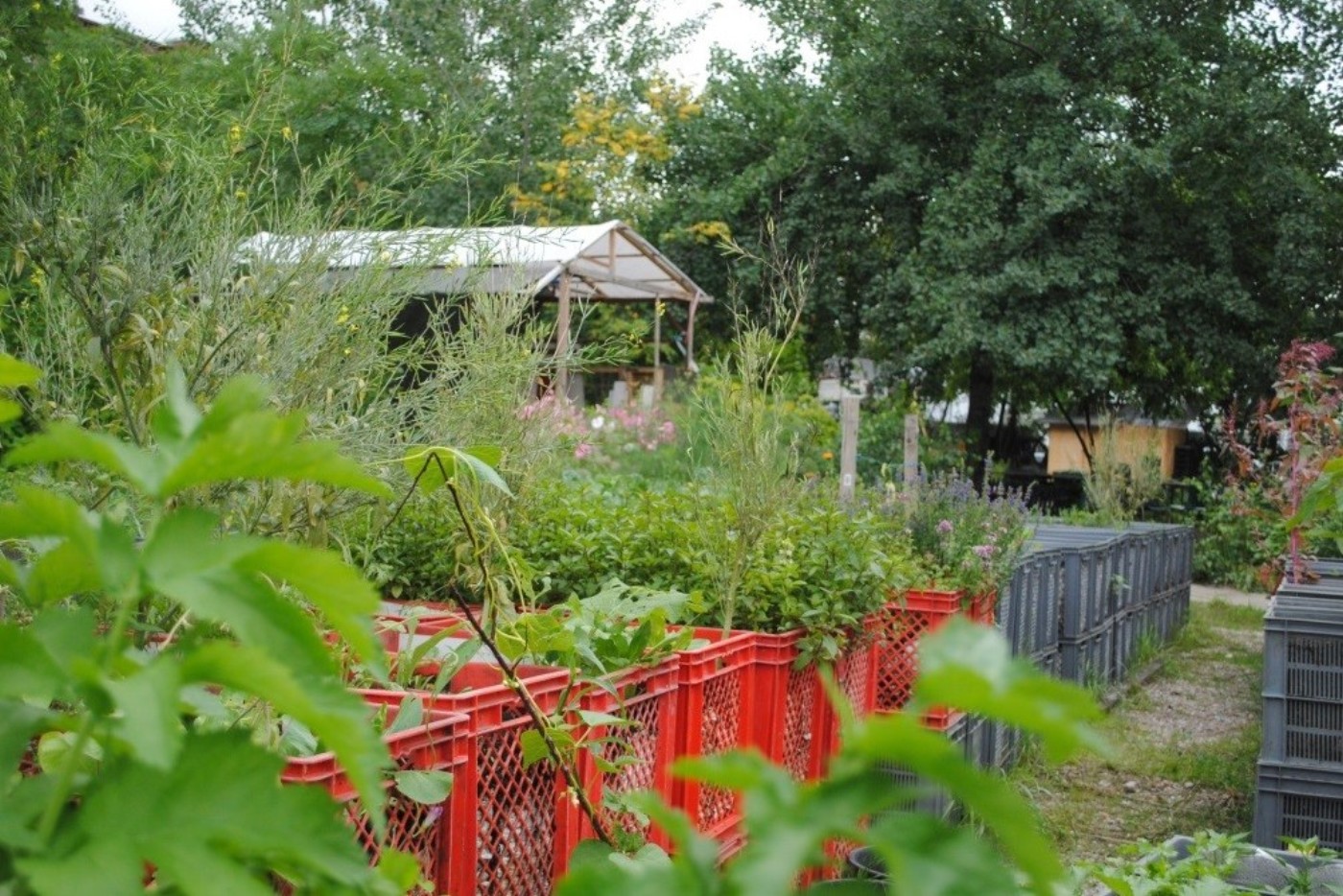 Mobiler Garten
