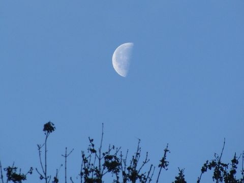 Mond im Hintergrund