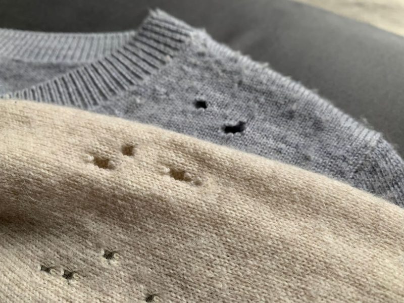 Mottenlöcher in Kaschmirpullover