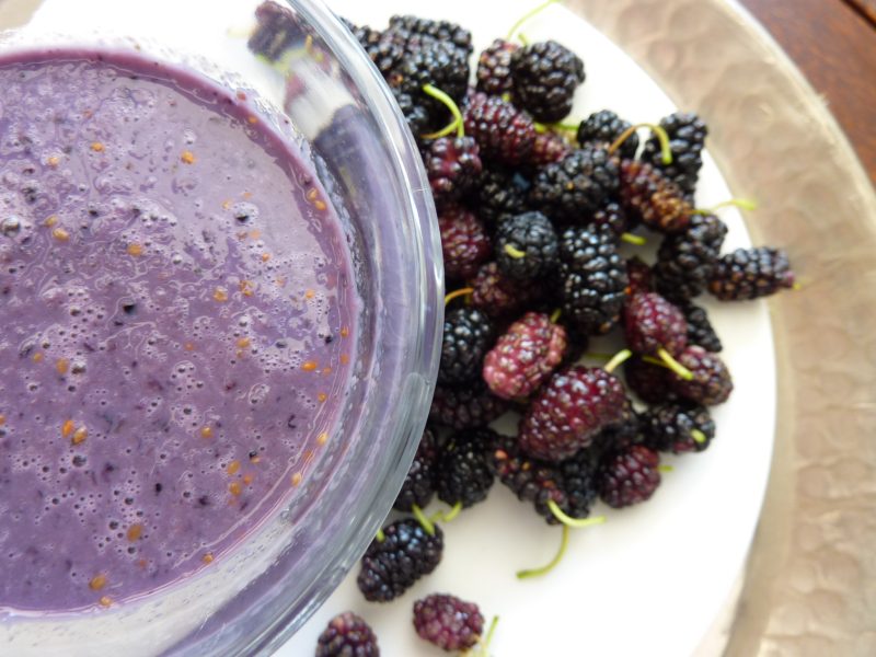 Maulbeer-Smoothie