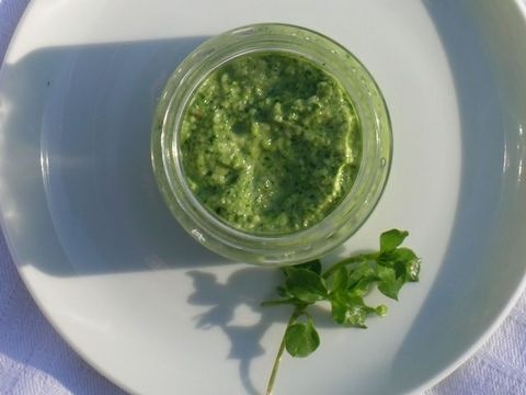 Pesto