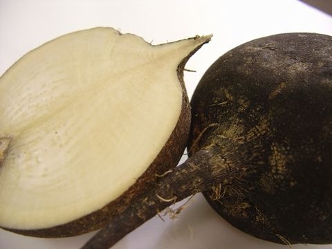 Rettichknollen