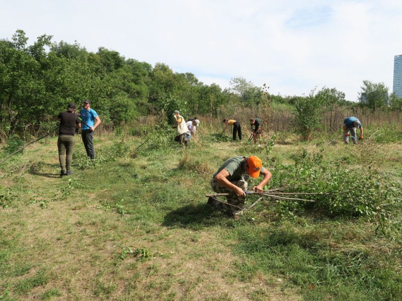 Projekt Green Worker