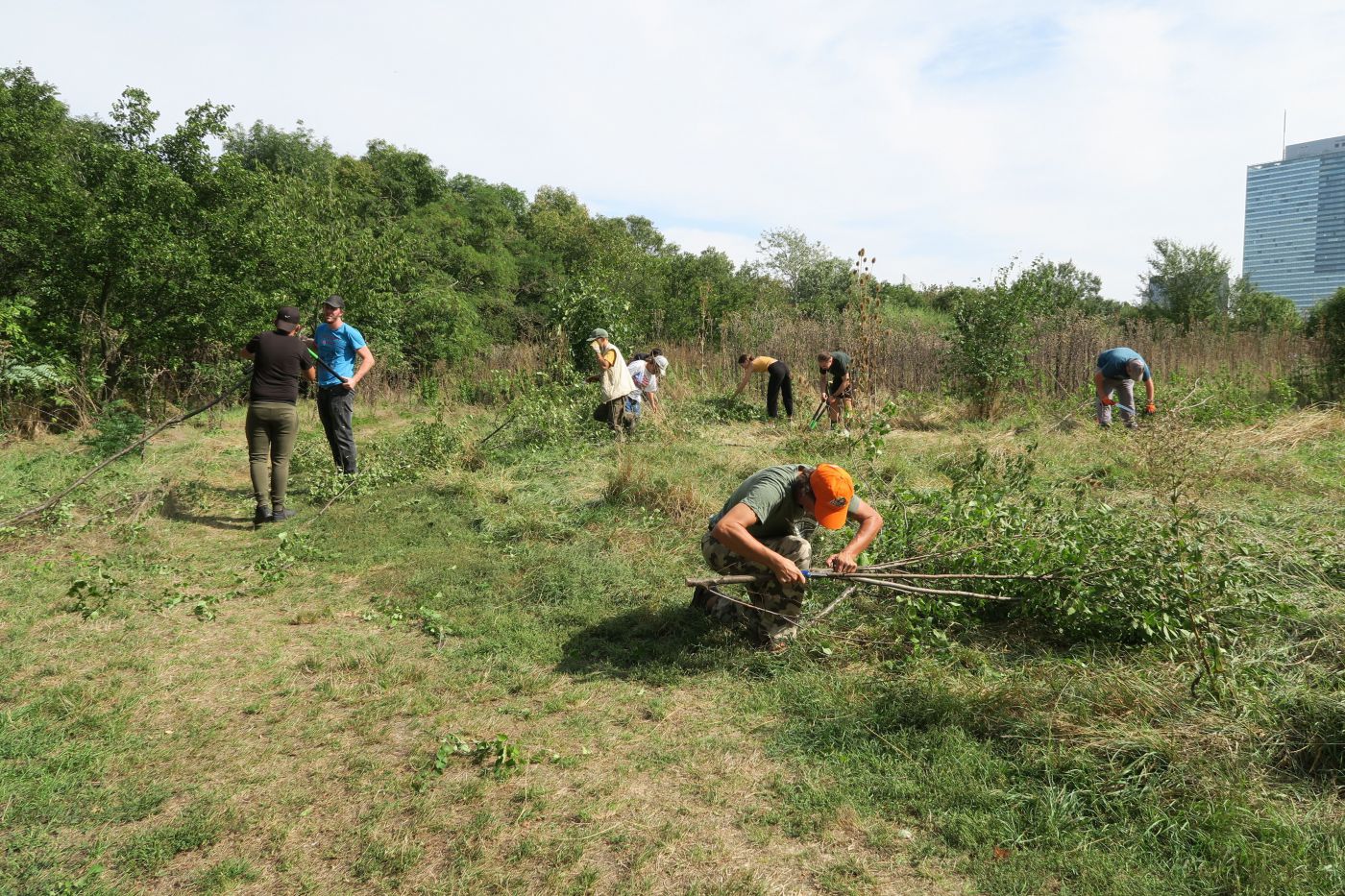Projekt Green Worker